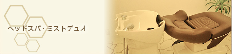 �w�b�h�X�p�E�~�X�g�f���I-���m����{�s�̃w�A�T�����yhair make LIEN(�w�A���C�N ���A��)�z